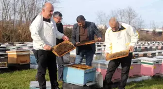 Türkiye'de en fazla bal üretiminin yapıldığı Ordu'da arıcılar sezona hazırlanıyor