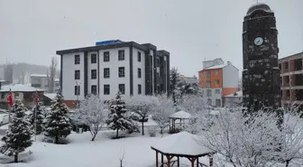 Başçiftlik ilçesinde kar yağışı etkisini sürdürüyor