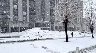 Bitlis'te kar etkili oldu