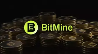 BitMine, 41.788 ETH alarak Ethereum pozisyonunu yükseltti