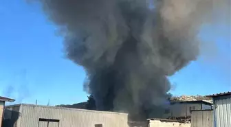 Bodrum'da işçilerin kaldığı konteyner alevlere teslim oldu