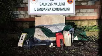Düzensiz göçmenler zeytinlik alanda yakalandı