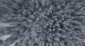 Kastamonu'nun yüksek kesimlerinde kar yağışı etkili oldu