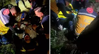 Korkunç olay! 50 metreden düştü, takıldığı ağaçlar hayatını kurtardı