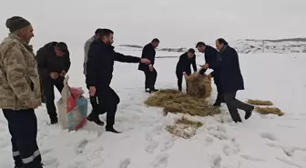 Muş'ta yaban hayvanları için doğaya yem bırakıldı