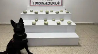 Van'da arazide 20 kilo 250 gram esrar ele geçirildi