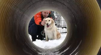 6 ŞUBAT DEPREMLERİNİN ÜÇÜNCÜ YILI - Yaralı patileriyle 6 kişiye umut olan 'Köpük' eğitimlerle yeni görevlere hazırlanıyor