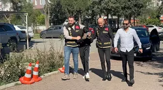 Antalya'da hamile eşini silahla yaralayan koca yakalandı