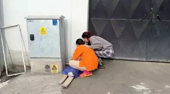 Beyoğlu'nda yangında ölen kedisinin başında sinir krizi geçirdi