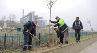 Edirne'den kısa kısa