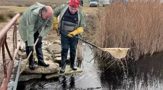Eskişehir'de 'Dünya Sulak Alanlar Günü' kapsamında farkındalık gezisi düzenlendi
