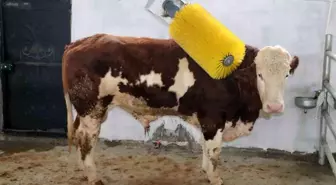 IPARD III ile Erzincan tarımına 178 milyon TL'lik yatırım desteği