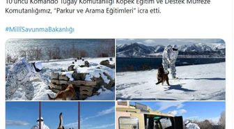 Mehmetçikten derin karda köpekli arama eğitimi