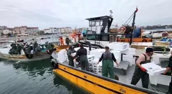 Tekirdağ açıklarında torik bereketi