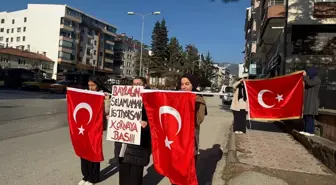Tosya'da 'Bayrağını selamlamak istiyorsan kornaya bas' etkinliği düzenlendi