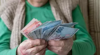 Vatandaşlık maaşında detaylar netleşti! İşte yardım yapılacak kalemler