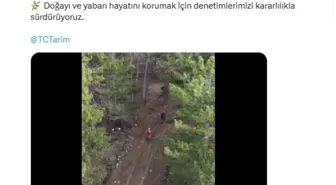 Yasa dışı avcılık yapan 4 kişiye idari yaptırım uygulandı