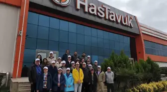 ABD Türk tavuğunun peşinde