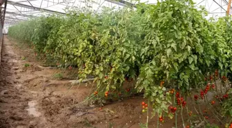 Aksu'da sağanak, sel, hortum ve doludan 23 mahalle, 500 çiftçi zarar gördü