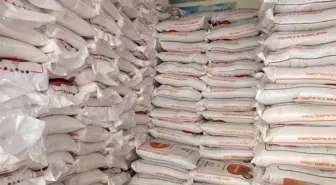 Burhaniye de Yağmurlar yağdı gübre satışları arttı