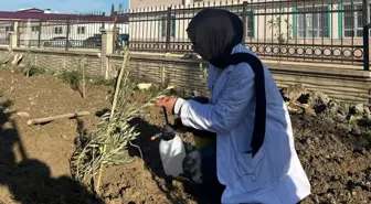 Hatay'da 6 Şubat depremlerinde hayatını kaybeden öğretmenler anısına fidan dikildi