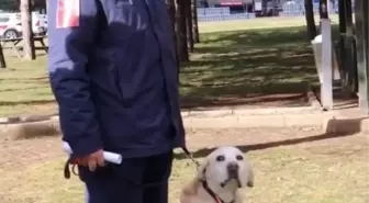 Jandarmanın iz takip köpeği 'Medyum' törenle emekliye ayrıldı