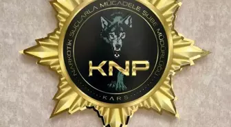 Kars'ta uyuşturucu operasyonu: 2 tutuklama