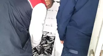 Kırklareli'nde su ürünleri denetiminde 110 koli istavrite cezai işlem