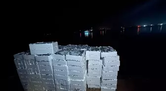 Kırklareli'nde yasal boy sınırı altında avlanan 1 ton 300 kilogram istavrite el konuldu