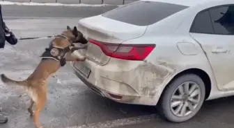 Otomobildeki uyuşturucuyu Hera buldu; 2 şüpheli tutuklandı