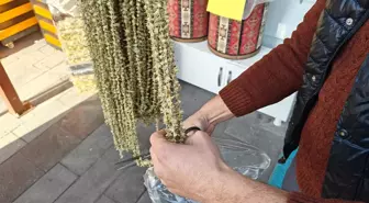 Ne pide ne de hurma! Ramazan'ın gözdesi tezgahlarda