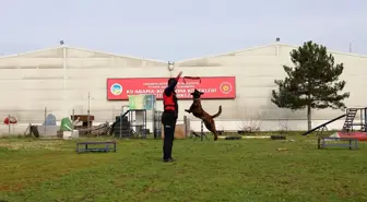 Sakarya itfaiyesinin K9 köpekleri olası afetlere karşı eğitiliyor