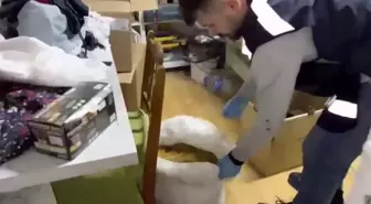 Samsun'da kaçak tütün mamulü operasyonu: 4 şüpheli yakalandı