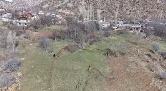 Sivas'ın Koyulhisar ilçesinde heyelan meydana gelen alanda inceleme başlatıldı