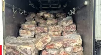 Tekirdağ'da 3 bin 500 kilogram bozuk sakatat imha edildi