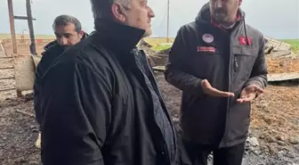 Tekirdağ'da çiftlikte çıkan yangında 100 koyun öldü