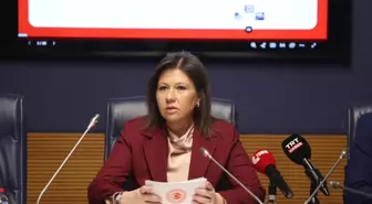 Yurtdışı Türkler ve Akraba Topluluklar Alt Komisyonu toplandı