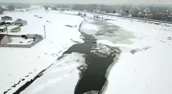 Ağrı'da nehir ve dereler buzla kaplandı