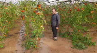 Antalya'da Hortum ve Sağanak Yağmur Seraları ve Bahçeleri Vurdu