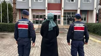 Aydın'da FETÖ hükümlüsü yakalandı