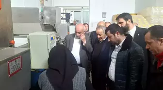 Bafra'da kurulacak turşu fabrikası için Ankara'da teknik inceleme yapıldı