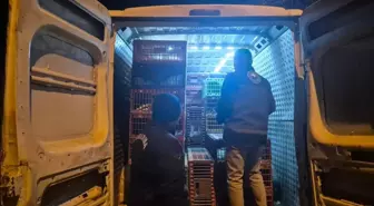 Bilecik'te 1265 kanatlı hayvana el konuldu