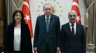 Cumhurbaşkanı Erdoğan, DEM Parti heyetini kabul etti