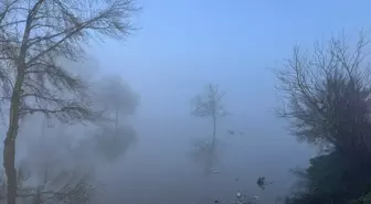 Edirne'de Meriç Nehri'nin debisi iki günde yaklaşık 3 katına çıktı