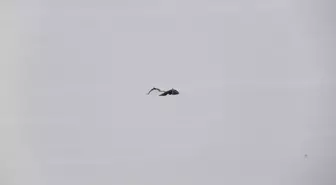 Erzurum'da soğuk havanın etkisiyle Köyceğiz Göleti'nin yüzeyi buz tuttu