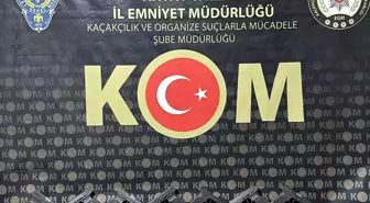 Hatay merkezli suç örgütü operasyonunda yakalanan 12 şüpheli tutuklandı