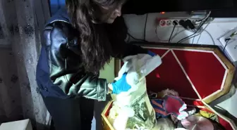 Iğdır'da müstehcenlik operasyonu: 2 tutuklama