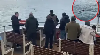 Vapurda panik anları! Görenler çığlık çığlığa bağırdı