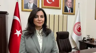 KÜÇÜK YAŞ, BÜYÜK SUÇ - TBMM Suça Sürüklenen Çocuklara İlişkin Araştırma Komisyonu Başkanı Durgut, yol haritalarını AA'ya anlattı Açıklaması