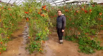 Kumluca'da hortum seraları parçaladı